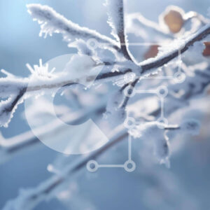 Intra Συλλεκτικό Ξύλινο Παζλ Plywood  4mm - Χιονισμένο κλαδί δέντρου το χειμώνα Σε Ξύλινο Κουτί - Διαστάσεις: 10x10 cm – 25 κομμάτια