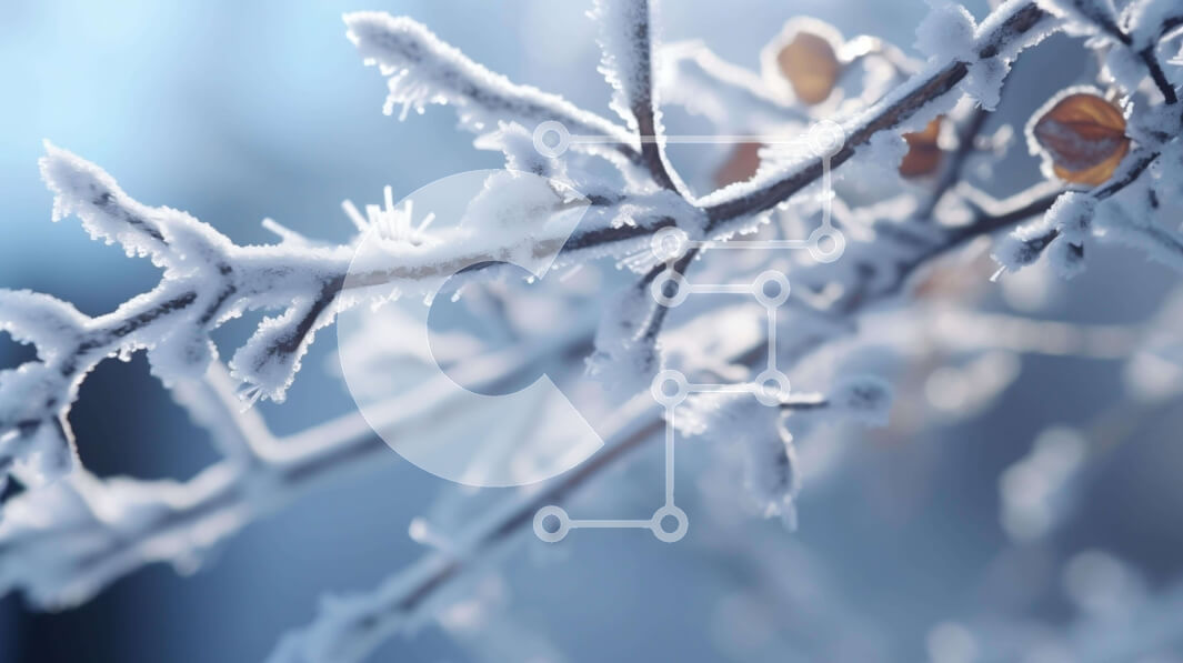 Intra Συλλεκτικό Ξύλινο Παζλ Plywood  4mm - Χιονισμένο κλαδί δέντρου το χειμώνα Σε Ξύλινο Κουτί - Διαστάσεις: 10x10 cm – 25 κομμάτια