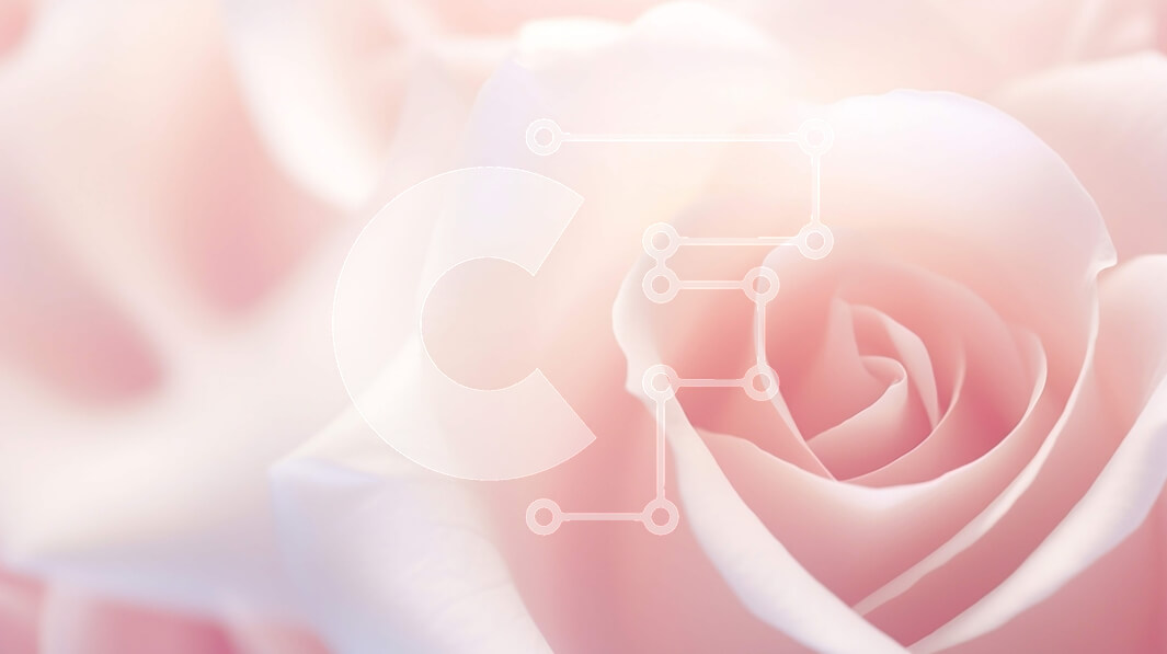 Intra Συλλεκτικό Ξύλινο Παζλ Plywood  4mm - Κοντινό πλάνο με ροζ τριαντάφυλλα στην άνθιση Σε Ξύλινο Κουτί - Διαστάσεις: 10x10 cm – 25 κομμάτια