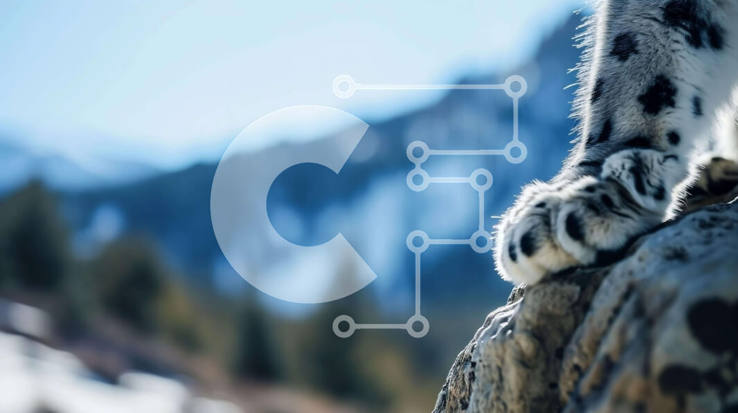 Intra Συλλεκτικό Ξύλινο Παζλ Plywood  4mm - Πόδι λεοπάρδαλης χιονιού στο βράχο με φόντο βουνών Σε Ξύλινο Κουτί - Διαστάσεις: 10x10 cm – 25 κομμάτια