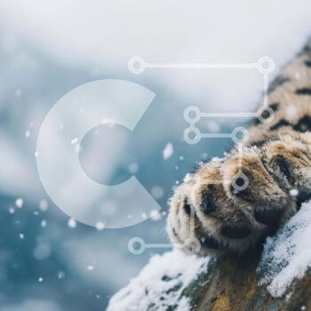 Intra Συλλεκτικό Ξύλινο Παζλ Plywood 4mm - Snow Leopard's Paw in the Snow Σε Ξύλινο Κουτί - Διαστάσεις: 10x10 cm – 25 κομμάτια - Image 1