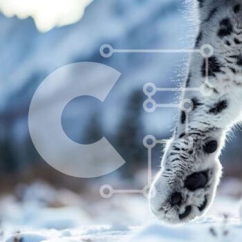 Intra Συλλεκτικό Ξύλινο Παζλ Plywood  4mm - Snow Leopard Paw στο χιόνι Σε Ξύλινο Κουτί - Διαστάσεις: 10x10 cm – 25 κομμάτια - Image 1