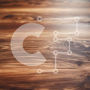 Intra Συλλεκτικό Ξύλινο Παζλ Plywood  4mm - Όμορφη όψη από κοντά σε ένα ξύλινο δάπεδο με φυσικό φινίρισμα Σε Ξύλινο Κουτί - Διαστάσεις Puzzle: 10x10 cm – 25 κομμάτια