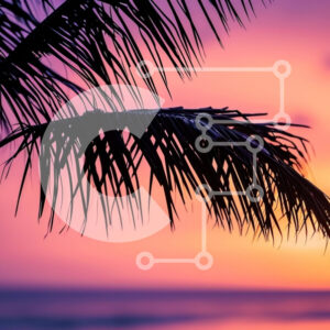Intra Συλλεκτικό Ξύλινο Παζλ Plywood  4mm - Σιλουέτα Palm Tree Against the Sunset στην παραλία Σε Ξύλινο Κουτί - Διαστάσεις: 10x10 cm – 25 κομμάτια - Image 1