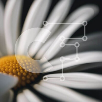 Intra Συλλεκτικό Ξύλινο Παζλ Plywood 4mm - Όμορφη εικόνα μιας λευκής μαργαρίτας με κίτρινο κέντρο Σε Ξύλινο Κουτί - Διαστάσεις: 10x10 cm – 25 κομμάτια - Image 1