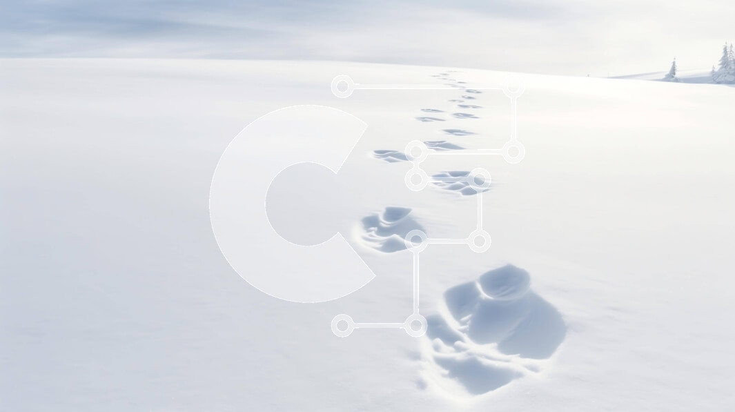 Intra Συλλεκτικό Ξύλινο Παζλ Plywood  4mm - Χιονισμένο τοπίο με ίχνη ζώων Σε Ξύλινο Κουτί - Διαστάσεις: 10x10 cm – 25 κομμάτια