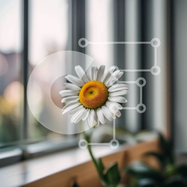 2imVUNvTGajiPs3vBlFbObIRn7Q-desktop