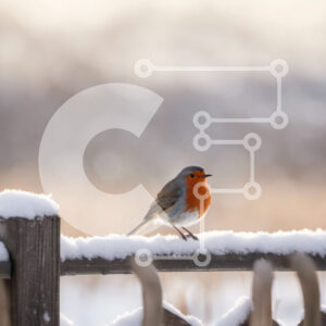 Intra Συλλεκτικό Ξύλινο Παζλ Plywood  4mm - Χειμερινή σκηνή με ένα μικρό πουλί σκαρφαλωμένο σε έναν χιονισμένο φράκτη Σε Ξύλινο Κουτί - Διαστάσεις: 10x10 cm – 25 κομμάτια