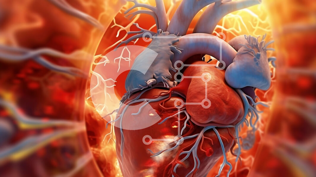 Intra Συλλεκτικό Ξύλινο Παζλ Plywood  4mm - Λεπτομερής εικόνα της ανατομίας της ανθρώπινης καρδιάς Σε Ξύλινο Κουτί - Διαστάσεις Puzzle: 10x10 cm – 25 κομμάτια