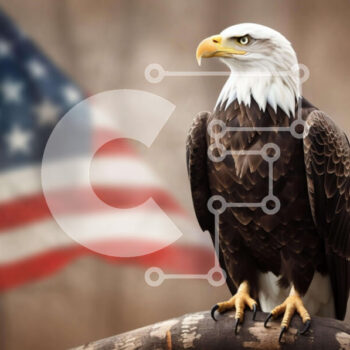 Intra Συλλεκτικό Ξύλινο Παζλ Plywood  4mm - Αετός σκαρφαλωμένος σε ένα κλαδί με την αμερικανική σημαία στο βάθος Σε Ξύλινο Κουτί - Διαστάσεις: 10x10 cm – 25 κομμάτια - Image 1