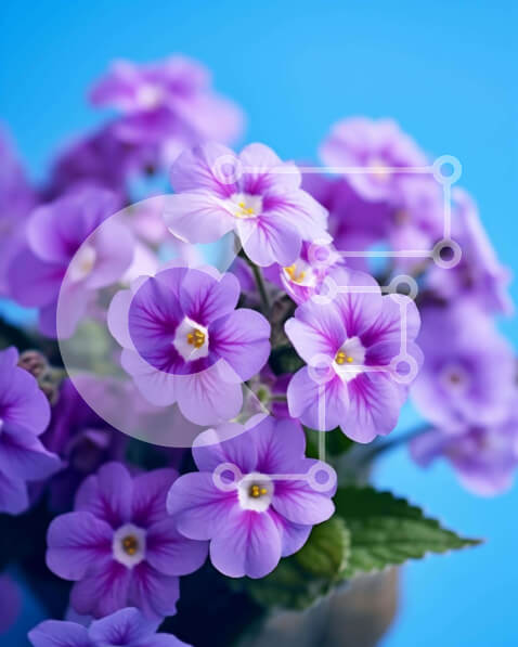 Intra Συλλεκτικό Ξύλινο Παζλ Plywood  4mm - Μωβ λουλούδια σε βάζο για διακόσμηση Σε Ξύλινο Κουτί - Διαστάσεις: 10x10 cm – 25 κομμάτια