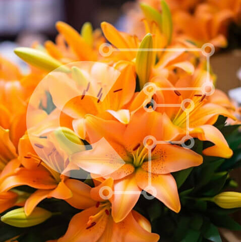 Intra Συλλεκτικό Ξύλινο Παζλ Plywood  4mm - Ζωντανό μπουκέτο με πορτοκαλί λουλούδια στο τραπέζι Σε Ξύλινο Κουτί - Διαστάσεις: 10x10 cm – 25 κομμάτια - Image 1