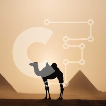 Intra Συλλεκτικό Ξύλινο Παζλ Plywood  4mm - Καμήλα μπροστά από τις πυραμίδες στο ηλιοβασίλεμα Σε Ξύλινο Κουτί - Διαστάσεις Puzzle: 10x10 cm – 25 κομμάτια - Image 1