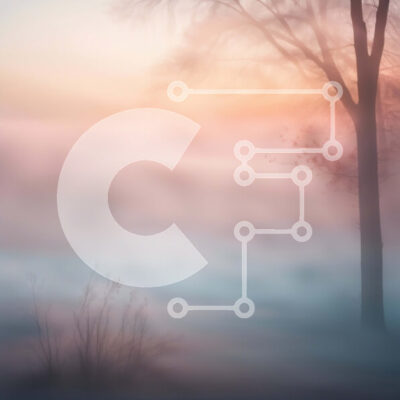 Intra Συλλεκτικό Ξύλινο Παζλ Plywood  4mm - Όμορφη εικόνα ενός γυμνού δέντρου σε ένα ομιχλώδες τοπίο Σε Ξύλινο Κουτί - Διαστάσεις: 10x10 cm – 25 κομμάτια - Image 1