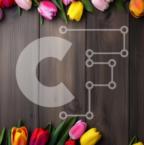 Intra Συλλεκτικό Ξύλινο Παζλ Plywood 4mm - Πολύχρωμες τουλίπες σε ξύλινο πλαίσιο για ανοιξιάτικες και καλοκαιρινές εκδηλώσεις Σε Ξύλινο Κουτί - Διαστάσεις: 10x10 cm – 25 κομμάτια - Image 1