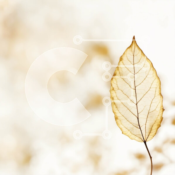 2imVhnn1MsTEtMzGClKL7y1Or38-desktop