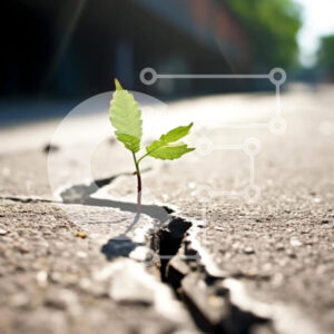 Intra Συλλεκτικό Ξύλινο Παζλ Plywood  4mm - Puzzle 10x10 cm – 25 κομμ με θεμα  Nature-Φύση's Resilience: Ένα μικρό φυτό που φυτρώνει σε ραγισμένο πεζοδρόμιο Σε Ξύλινο Κουτί - Διαστάσεις: 10x10 cm – 25 κομμάτια