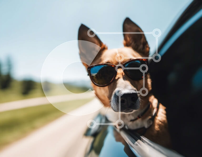 Intra Συλλεκτικό Ξύλινο Παζλ Plywood  4mm - Σκύλος με γυαλιά ηλίου που κρέμεται από το παράθυρο του αυτοκινήτου Σε Ξύλινο Κουτί - Διαστάσεις Puzzle: 10x10 cm – 25 κομμάτια