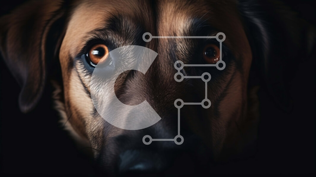 Intra Συλλεκτικό Ξύλινο Παζλ Plywood  4mm - Κοντινό πλάνο του καφέ σκύλου με τα μεγάλα καστανά μάτια Σε Ξύλινο Κουτί - Διαστάσεις: 10x10 cm – 25 κομμάτια