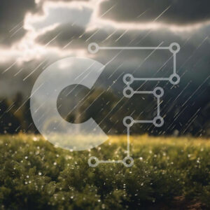 Intra Συλλεκτικό Ξύλινο Παζλ Plywood  4mm - Ήρεμο καταπράσινο πεδίο με σταγόνες βροχής Σε Ξύλινο Κουτί - Διαστάσεις: 10x10 cm – 25 κομμάτια