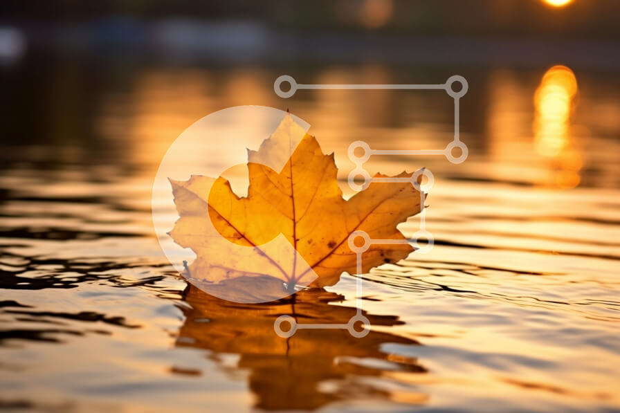 Intra Συλλεκτικό Ξύλινο Παζλ Plywood  4mm - Όμορφη εικόνα ενός κίτρινου φύλλου που επιπλέει στο νερό στο ηλιοβασίλεμα Σε Ξύλινο Κουτί - Διαστάσεις: 10x10 cm – 25 κομμάτια