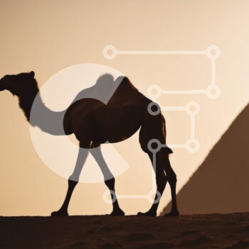 Intra Συλλεκτικό Ξύλινο Παζλ Plywood  4mm - Καμήλα μπροστά από τη Μεγάλη Πυραμίδα της Γκίζας στην Αίγυπτο Σε Ξύλινο Κουτί - Διαστάσεις Puzzle: 10x10 cm – 25 κομμάτια - Image 1