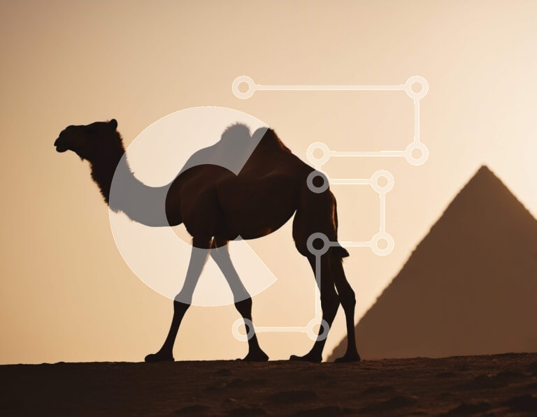 Intra Συλλεκτικό Ξύλινο Παζλ Plywood  4mm - Καμήλα μπροστά από τη Μεγάλη Πυραμίδα της Γκίζας στην Αίγυπτο Σε Ξύλινο Κουτί - Διαστάσεις Puzzle: 10x10 cm – 25 κομμάτια