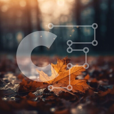 Intra Συλλεκτικό Ξύλινο Παζλ Plywood 4mm - Όμορφη κινηματογράφηση σε πρώτο πλάνο ενός φθινοπωρινού φύλλου σε ένα δάσος Σε Ξύλινο Κουτί - Διαστάσεις: 10x10 cm – 25 κομμάτια - Image 1