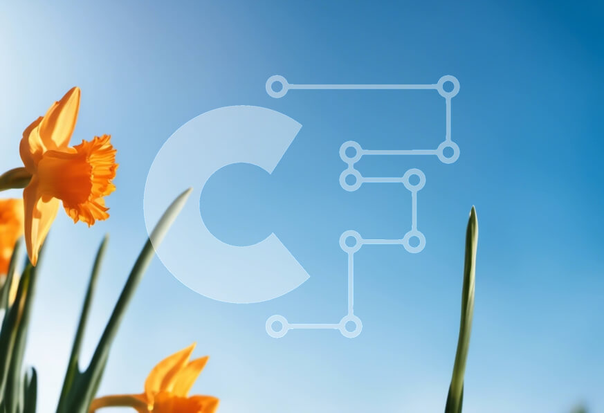 Intra Συλλεκτικό Ξύλινο Παζλ Plywood  4mm - Κοντινό πλάνο ενός ανθισμένου λουλουδιού ασφόδελου με κίτρινα πέταλα και ένα πράσινο κέντρο Σε Ξύλινο Κουτί - Διαστάσεις: 10x10 cm – 25 κομμάτια