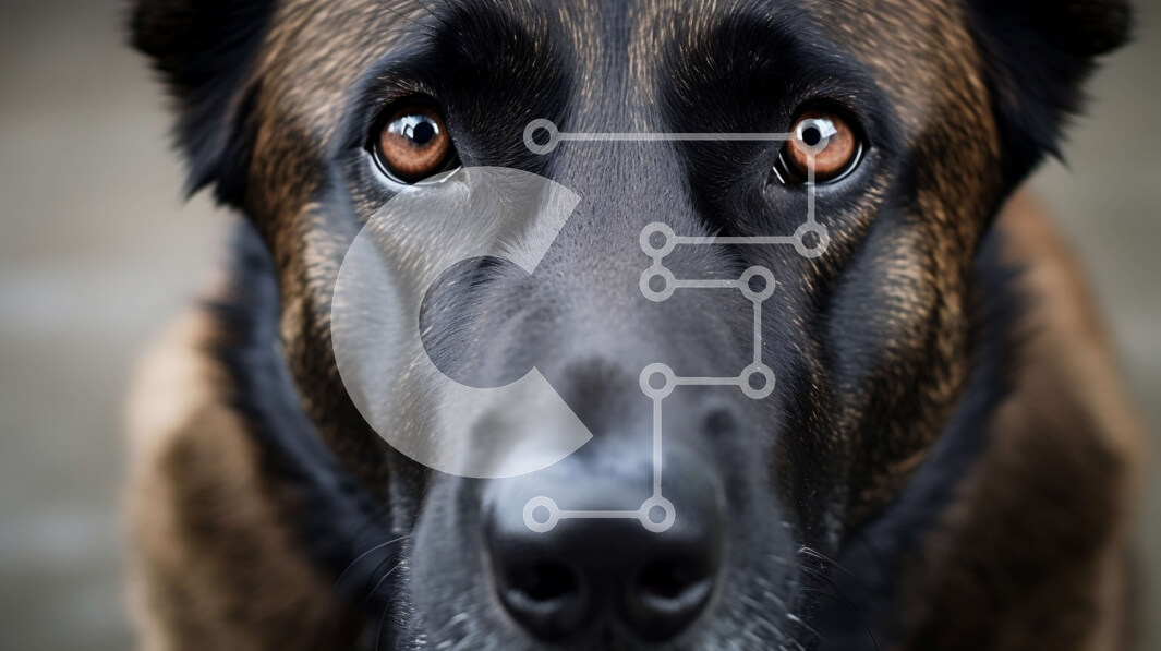 Intra Συλλεκτικό Ξύλινο Παζλ Plywood  4mm - Κοντινό πλάνο του προσώπου ενός καφέ και μαύρου σκύλου Σε Ξύλινο Κουτί - Διαστάσεις: 10x10 cm – 25 κομμάτια