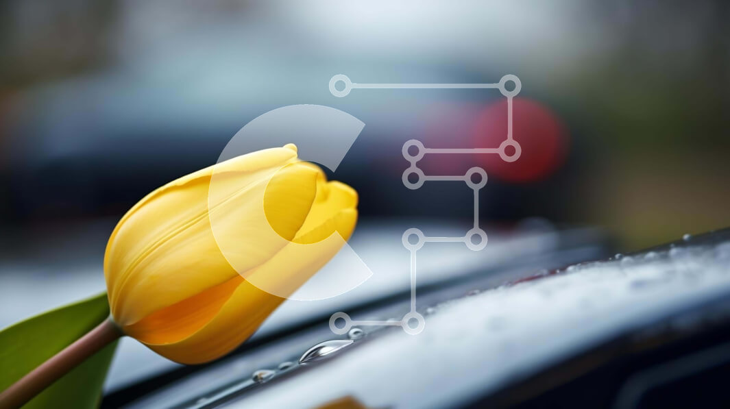 Intra Συλλεκτικό Ξύλινο Παζλ Plywood  4mm - Κίτρινη τουλίπα στην κουκούλα αυτοκινήτου σε βροχερό καιρό Σε Ξύλινο Κουτί - Διαστάσεις: 10x10 cm – 25 κομμάτια