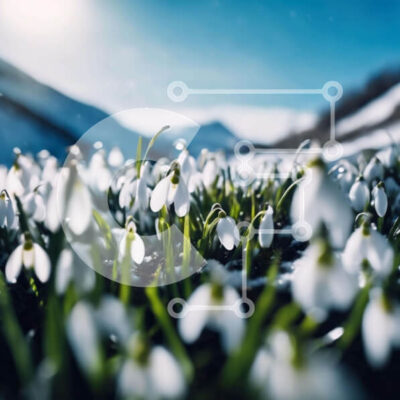 Intra Συλλεκτικό Ξύλινο Παζλ Plywood  4mm - Snowdrops in the Snow με το φως του ήλιου Σε Ξύλινο Κουτί - Διαστάσεις: 10x10 cm – 25 κομμάτια - Image 1