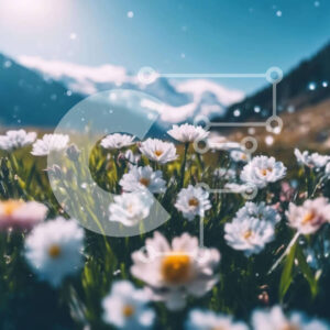 Intra Συλλεκτικό Ξύλινο Παζλ Plywood  4mm - Ειδυλλιακή σκηνή από λευκές μαργαρίτες με βουνά στο βάθος Σε Ξύλινο Κουτί - Διαστάσεις: 10x10 cm – 25 κομμάτια