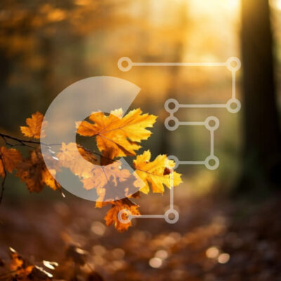 Intra Συλλεκτικό Ξύλινο Παζλ Plywood 4mm - Όμορφη κινηματογράφηση σε πρώτο πλάνο ενός φθινοπωρινού φύλλου στο έδαφος με το φως του ήλιου μέσα από τα δέντρα Σε Ξύλινο Κουτί - Διαστάσεις: 10x10 cm – 25 κομμάτια - Image 1