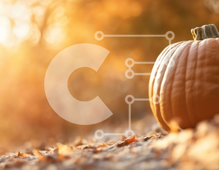 Intra Συλλεκτικό Ξύλινο Παζλ Plywood  4mm - Κολοκύθα σε χωράφι με πεσμένα φύλλα Σε Ξύλινο Κουτί - Διαστάσεις: 10x10 cm – 25 κομμάτια