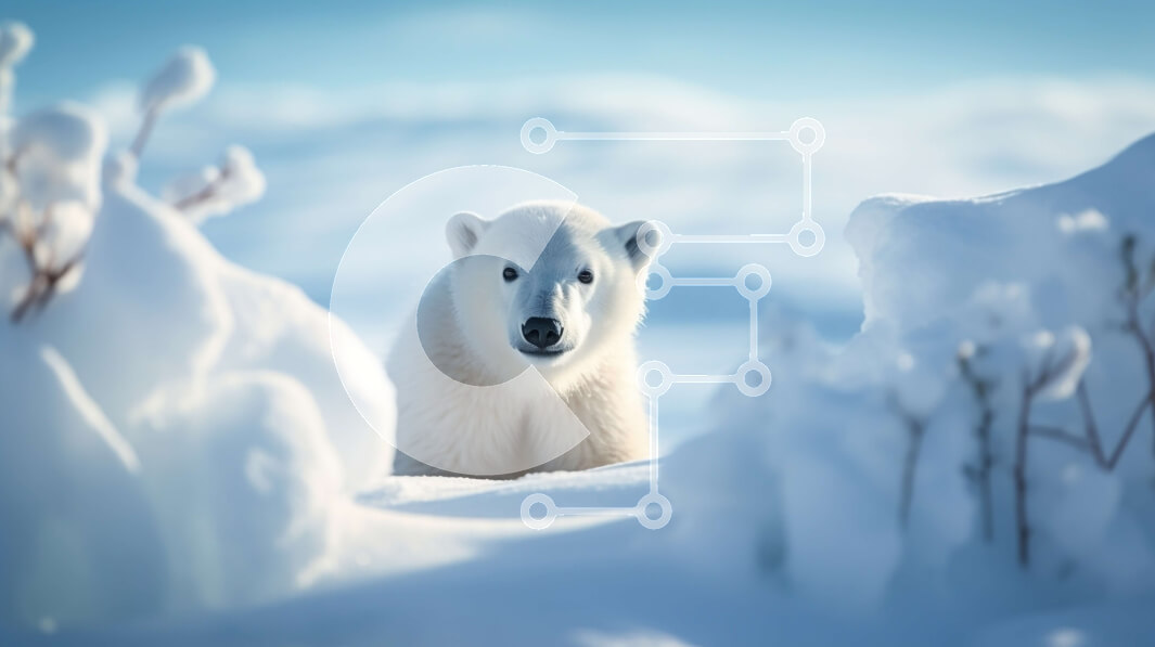 Intra Συλλεκτικό Ξύλινο Παζλ Plywood  4mm - Περίεργο πολικό αρκουδάκι που κρυφοκοιτάζει πίσω από το χιόνι Σε Ξύλινο Κουτί - Διαστάσεις: 10x10 cm – 25 κομμάτια