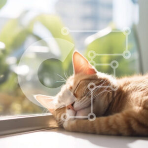 Intra Συλλεκτικό Ξύλινο Παζλ Plywood  4mm - Άνετη εικόνα μιας πορτοκαλί τιγρέ γάτας που κοιμάται σε ένα περβάζι Σε Ξύλινο Κουτί - Διαστάσεις: 10x10 cm – 25 κομμάτια