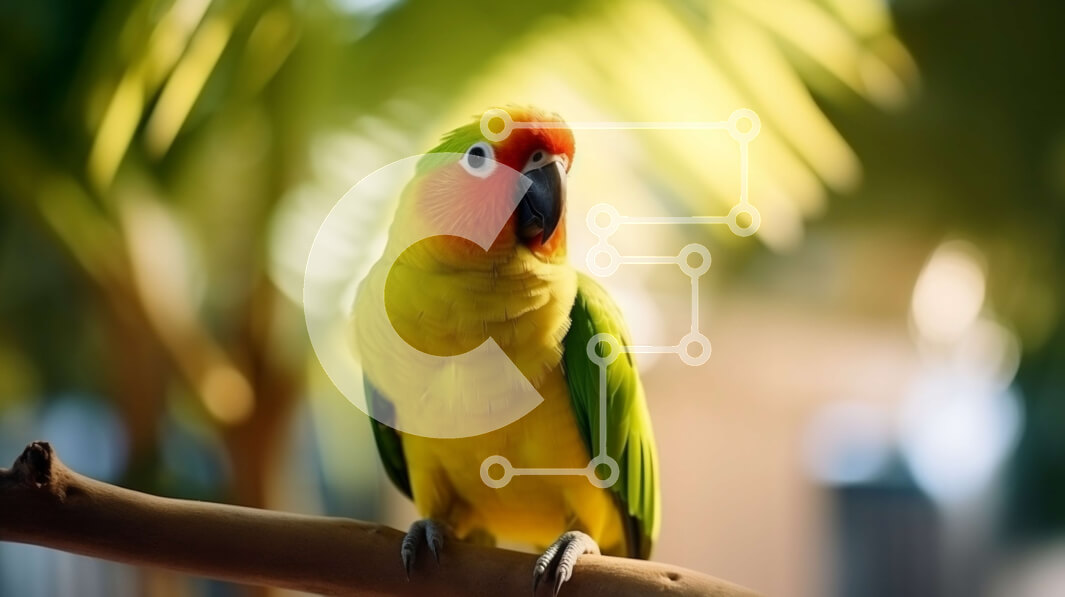 Intra Συλλεκτικό Ξύλινο Παζλ Plywood  4mm - Πολύχρωμος παπαγάλος σκαρφαλωμένος σε κλαδί δέντρου Σε Ξύλινο Κουτί - Διαστάσεις: 10x10 cm – 25 κομμάτια