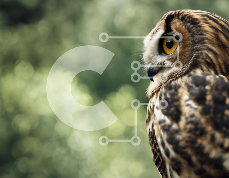 Intra Συλλεκτικό Ξύλινο Παζλ Plywood  4mm - Έντονο βλέμμα: Κοντινό πλάνο του προσώπου μιας κουκουβάγιας Σε Ξύλινο Κουτί - Διαστάσεις: 10x10 cm – 25 κομμάτια