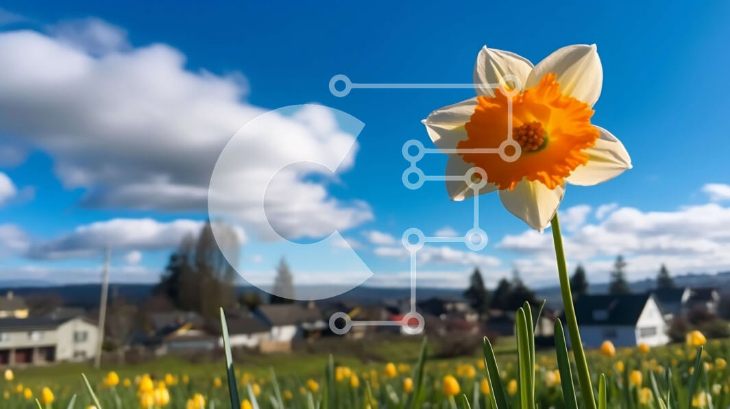 Intra Συλλεκτικό Ξύλινο Παζλ Plywood  4mm - Εκπληκτική εικόνα του χωραφιού ασφόδελου σε πλήρη άνθιση Σε Ξύλινο Κουτί - Διαστάσεις: 10x10 cm – 25 κομμάτια