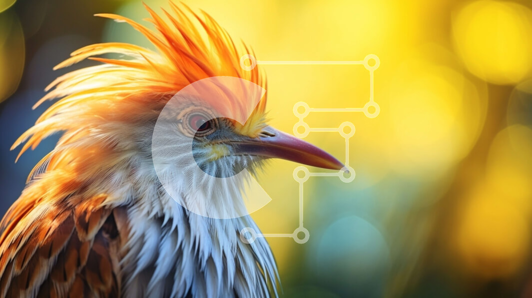 Intra Συλλεκτικό Ξύλινο Παζλ Plywood  4mm - Κοντινό πλάνο ενός πορτοκαλί-λευκού πουλιού Σε Ξύλινο Κουτί - Διαστάσεις: 10x10 cm – 25 κομμάτια