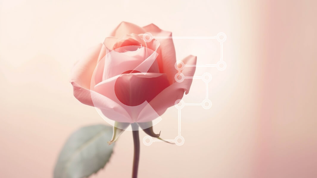 Intra Συλλεκτικό Ξύλινο Παζλ Plywood  4mm - Μονό ροζ τριαντάφυλλο σε υπόλευκο φόντο Σε Ξύλινο Κουτί - Διαστάσεις: 10x10 cm – 25 κομμάτια