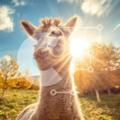 Intra Συλλεκτικό Ξύλινο Παζλ Plywood  4mm - Αξιολάτρευτο χαμογελαστό λάμα σε ένα όμορφο φθινοπωρινό χωράφι Σε Ξύλινο Κουτί - Διαστάσεις: 10x10 cm – 25 κομμάτια - Image 1