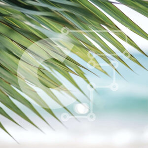 Intra Συλλεκτικό Ξύλινο Παζλ Plywood 4mm - Palm Leaf by the Beach Σε Ξύλινο Κουτί - Διαστάσεις: 10x10 cm – 25 κομμάτια - Image 1