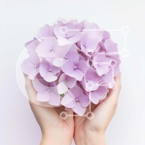 Intra Συλλεκτικό Ξύλινο Παζλ Plywood 4mm - Μπουκέτο με μωβ λουλούδια σε άσπρο φόντο Σε Ξύλινο Κουτί - Διαστάσεις Puzzle: 10x10 cm – 25 κομμάτια - Image 1