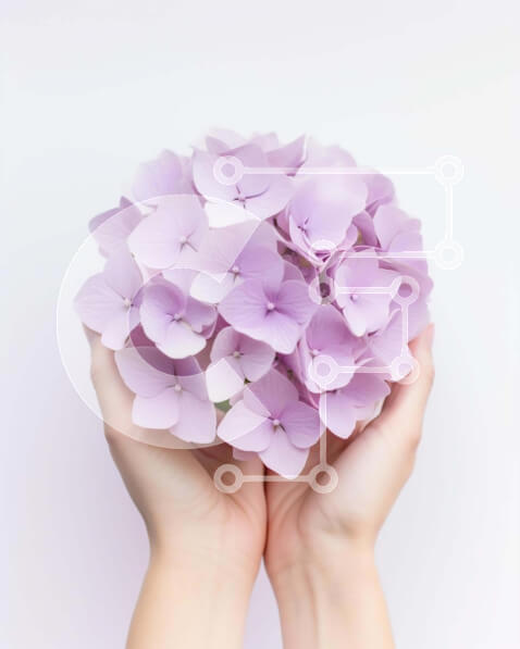 2imWVyzUbeOh3Ncf2MSX3te2PPt-desktop