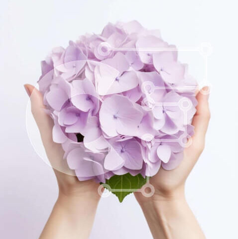 Intra Συλλεκτικό Ξύλινο Παζλ Plywood  4mm - Κομψό μπουκέτο με μωβ λουλούδια στα χέρια Σε Ξύλινο Κουτί - Διαστάσεις Puzzle: 10x10 cm – 25 κομμάτια - Image 1