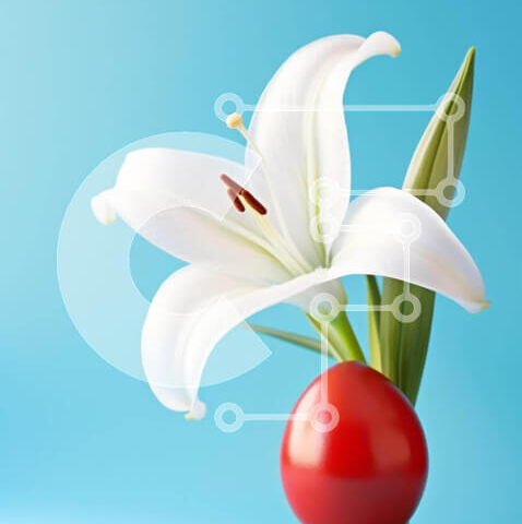 Intra Συλλεκτικό Ξύλινο Παζλ Plywood  4mm - Αυγό λουλουδιών λευκό κρίνου σε μπλε φόντο Σε Ξύλινο Κουτί - Διαστάσεις: 10x10 cm – 25 κομμάτια - Image 1