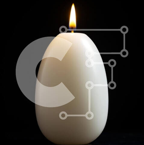 Intra Συλλεκτικό Ξύλινο Παζλ Plywood 4mm - Λευκό κερί αυγών σε μαύρο φόντο Σε Ξύλινο Κουτί - Διαστάσεις Puzzle: 10x10 cm – 25 κομμάτια - Image 1