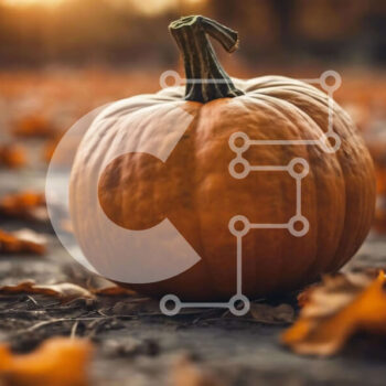 Intra Συλλεκτικό Ξύλινο Παζλ Plywood  4mm - Φθινοπωρινή κολοκύθα με φύλλα Σε Ξύλινο Κουτί - Διαστάσεις Puzzle: 10x10 cm – 25 κομμάτια - Image 1